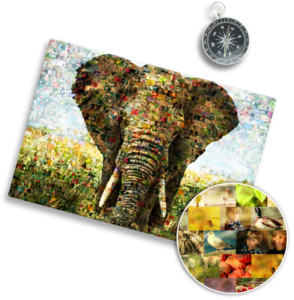 Mosaico foto_esempio elefante e dettaglio